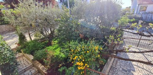 Spadici Apartamento | Apartments Boris