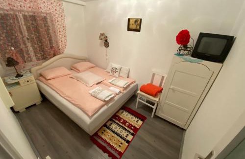 Vrdnik Apartamento | Apartments Borove Noci