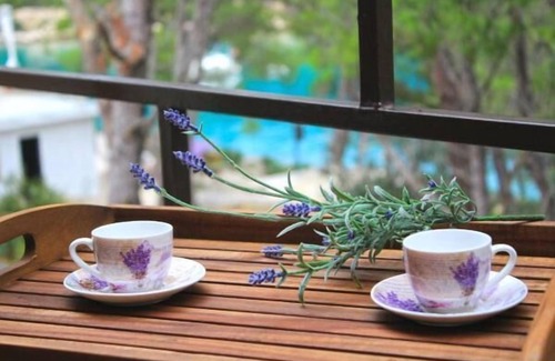 Cove Osibova (Milna) Apartamento | Apartamentos Brac Osibova - Apartamento de 1 dormitorio con patio y vistas al mar (A2) - (ST)
