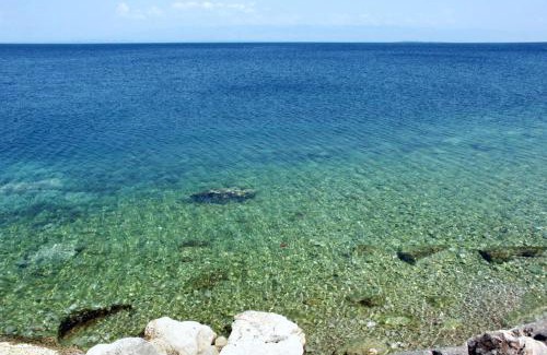 Cove Murtar Apartamento | Apartments by the sea Mali Losinj, Losinj - 18406