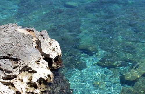 Medveja Apartamento | Apartments by the sea Medveja, Opatija - 7722