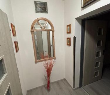 Jenisov Apartamento | Apartments Gato Karlovy Vary Jenišov