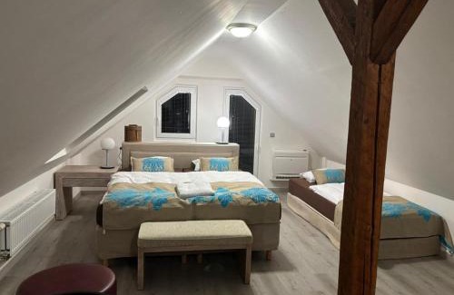 Jenisov Apartamento | Apartments Gato Karlovy Vary Jenišov