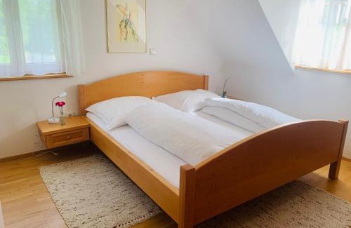 Voitsberg District Apartamento | Apartments Grabenmühle