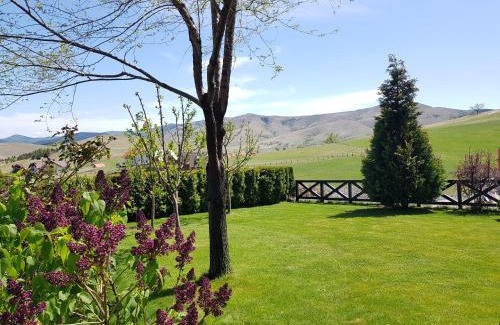 Zlatibor Apartamento | Apartments Hill House Zlatibor