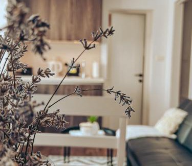 Idrija Apartamento | Apartments Ivanović