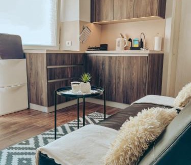 Idrija Apartamento | Apartments Ivanović