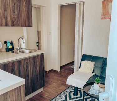 Idrija Apartamento | Apartments Ivanović