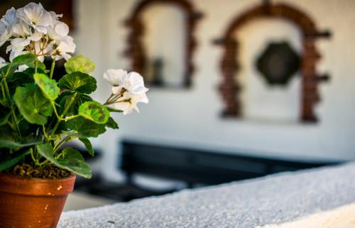 Trpanj Apartamento | Apartments Maestral