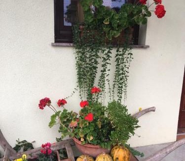 Salovci Apartamento | Apartments Mali Raj