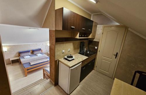 Soko Banja Apartamento | Apartments Nikolić