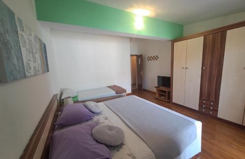 Sucuraj Casa | Apartments Piacun