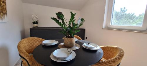 Cizici Apartamento | Apartments Rajna