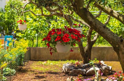 Cizici Apartamento | Apartments Rose