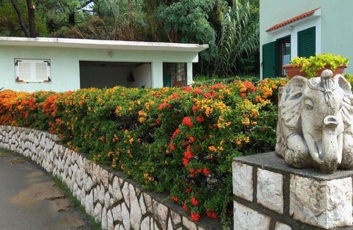Lopar Apartamento | Apartamentos Ruzica Musco, Apartamento Verde