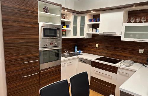 Brno Apartamento | Apartments Spačilova nearly center