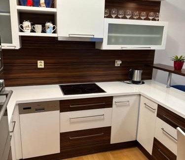 Brno Apartamento | Apartments Spačilova nearly center