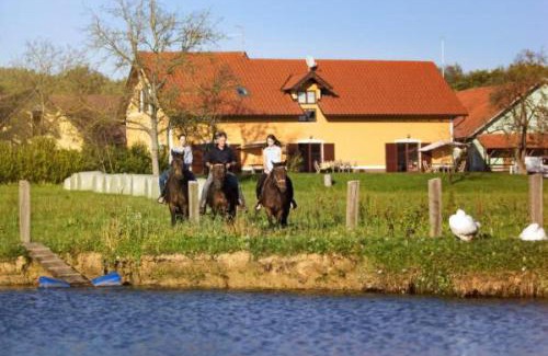 Ljutomer Apartamento | Apartments - Turistična kmetija Vrbnjak