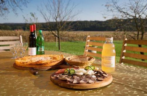 Ljutomer Apartamento | Apartments - Turistična kmetija Vrbnjak