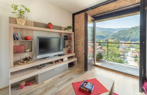 Ivanjica Apartamento | Apartments Vidik