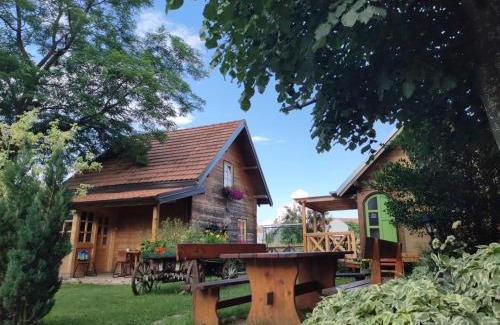 Central Serbia Casa | Apartments Vila Selena - Golija