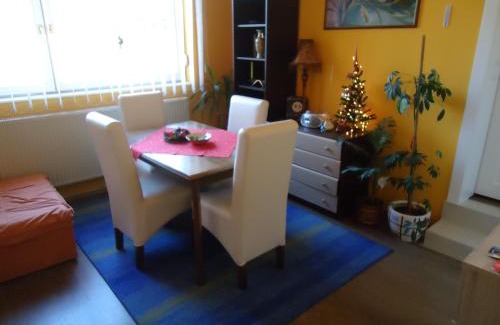 Vrnjacka Banja Casa | Apartments Villa Svetlana