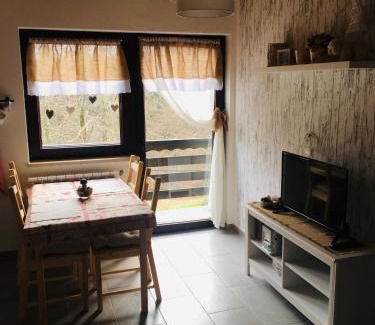 Zelin Mrzlovodicki Apartamento | Apartments Vjeverica