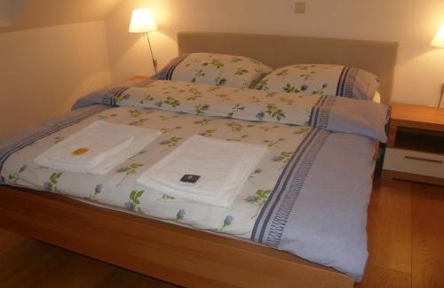 Cerknica Apartamento | Apartments Vrdjan