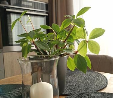 Virsuliskes Apartamento | Apartments with a balcony and an impressive terrace on the roof of the house