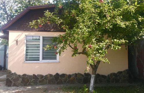 Solomjanskyj Apartamento | Apartments with kitchen and garden