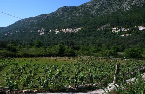 Mljet Apartamento | Apartments with parking space Babino Polje, Mljet - 22323