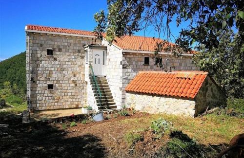 Mljet Apartamento | Apartments with parking space Babino Polje, Mljet - 22323