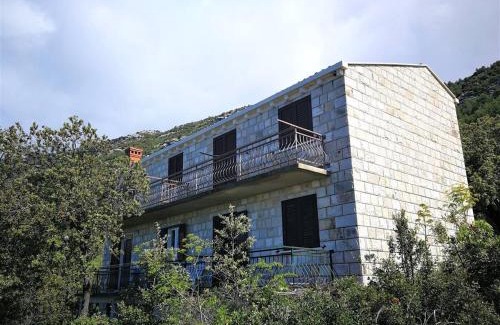 Mljet Apartamento | Apartments with parking space Babino Polje, Mljet - 22323