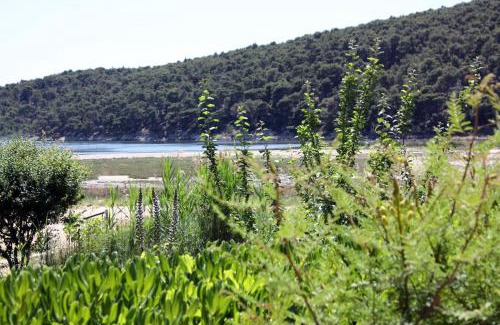 Suha Punta Apartamento | Apartments with parking space Kampor, Rab - 4972