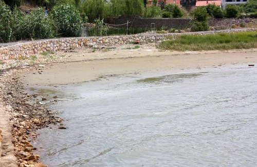 Suha Punta Apartamento | Apartments with parking space Kampor, Rab - 4972