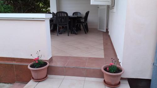 Lopar Apartamento | Apartments with parking space Lopar, Rab - 23968