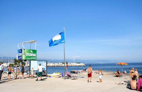 Icici Apartamento | Apartments with parking space Icici, Opatija - 7763