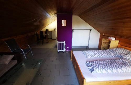 Zbraslav Apartamento | Apartments Zbraslav