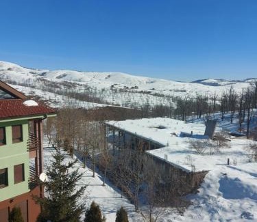 Zlatibor Apartamento | Apartments Zlatiborski Gajevi