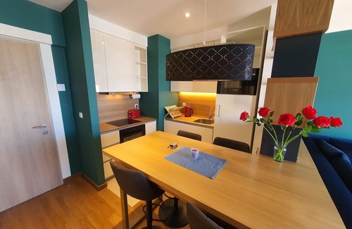 Sarajevska Apartamento | AparTwentyOne - Your Home in Belgrade!