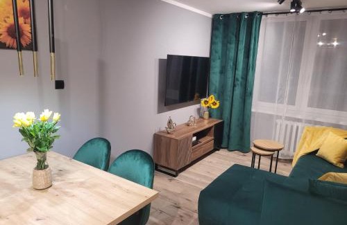 Zabrze Apartamento | Apertment Wenus