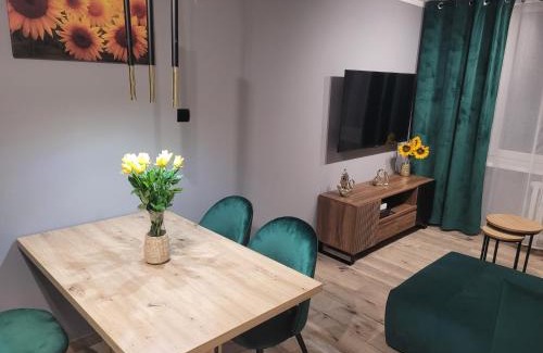 Zabrze Apartamento | Apertment Wenus