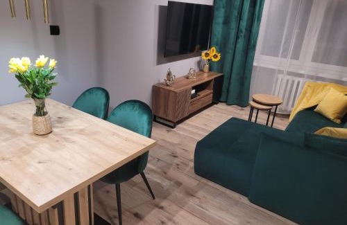 Zabrze Apartamento | Apertment Wenus