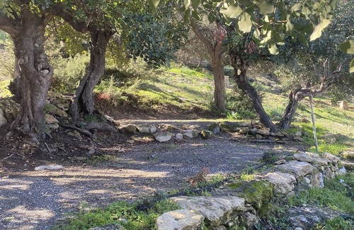 Neo Chorio Alquiler De RV | Aphrodite Family Eco Camping