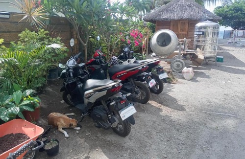 Zamboanguita Complejo | Apo Tropica Resort