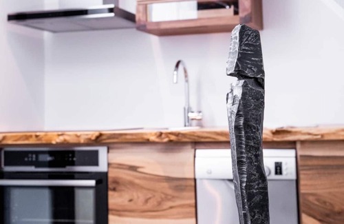 Kaysersberg-Vignoble Apartamento | App'Art - Le A **, Loft 4 people in Kaysersberg - 1 bedroom, 1 sleeping area