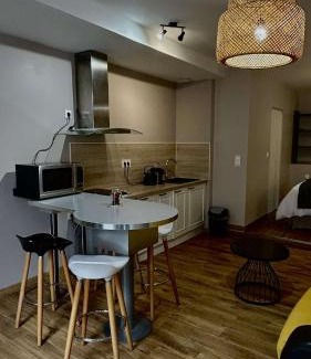 Vienne Apartamento | Appart'Hôtel du Cloître