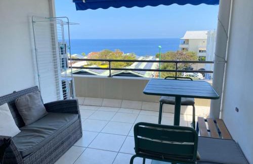 Carosse Apartamento | Appart sympa, vue sur le lagon à Saint-Gilles les bains