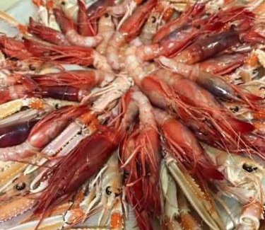 Savelletri Apartamento | appartamenti del pescatore