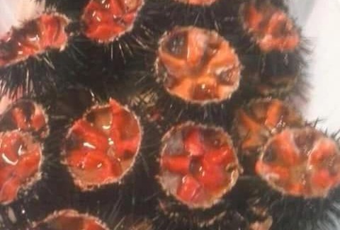 Savelletri Apartamento | Appartamenti Del Pescatore